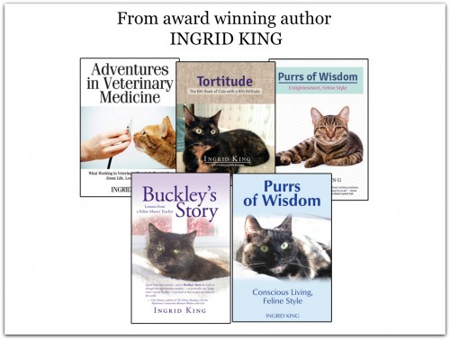 five books award winning author